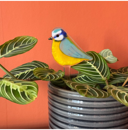 Blue Tit - Krukv�xtdekoration i glas