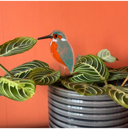Kingfisher - Krukv�xtdekoration i glas
